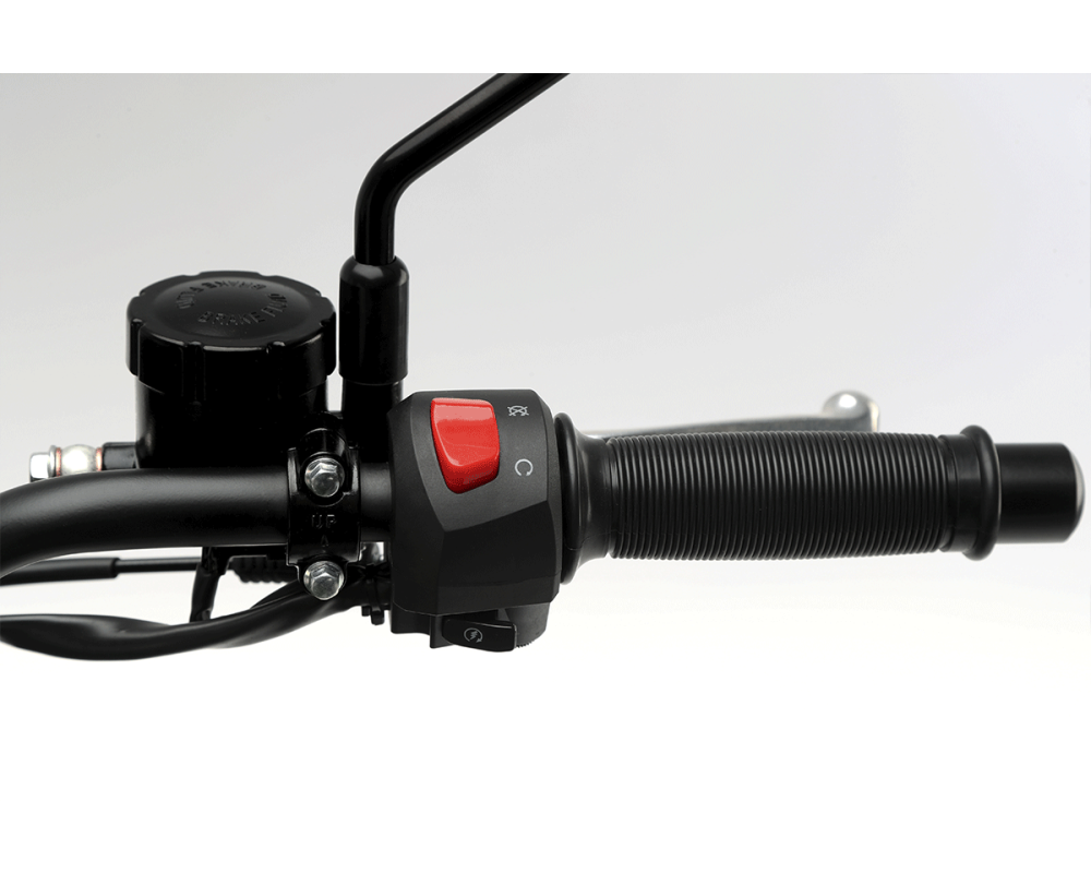 Rockster Flat 125